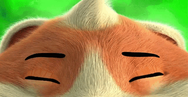 a close up of a cat 's face with a green background