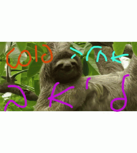 Sloth Scratching GIF - Sloth Scratching Itchy GIFs