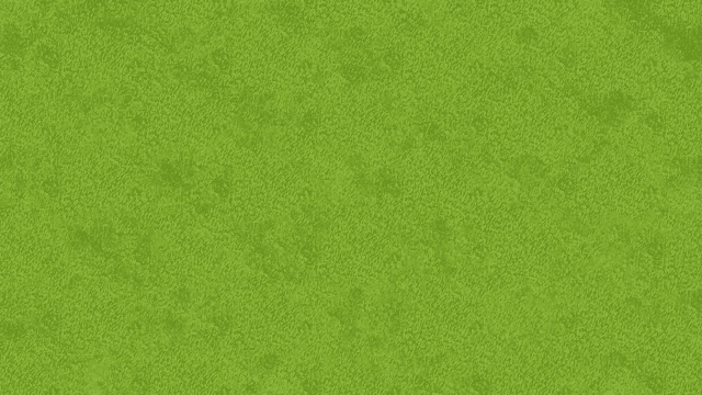 a close up of a green grass field