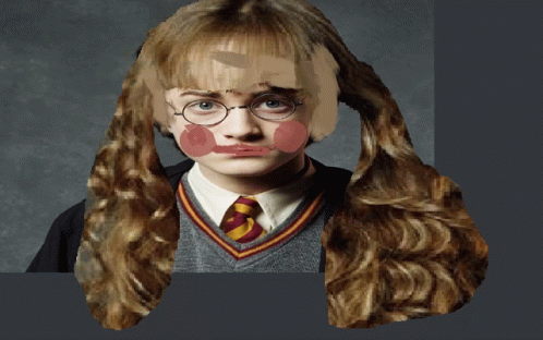 Harry Potters Sister Hogwarts GIF - Harry Potters Sister Harry Potter Hogwarts GIFs