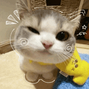 a gray and white cat is sitting next to a stuffed animal