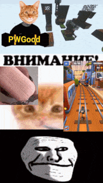 a collage of images including a cat a troll face and a game called subway surfers