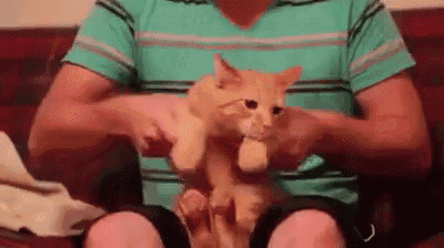 a man is sitting on a couch holding an orange cat .