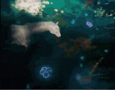 a white horse is swimming in the water with jellyfish