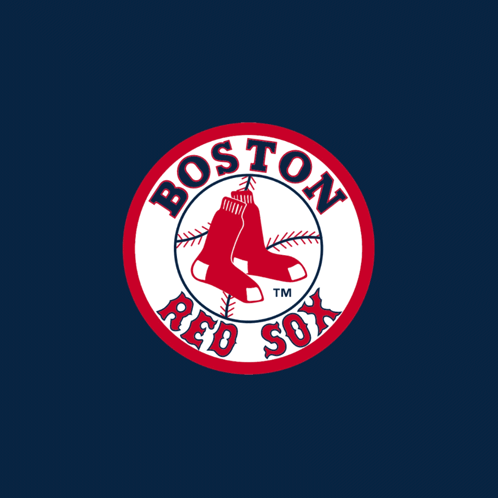 Red Sox Boston Red Sox GIF - Red Sox Boston Red Sox Go Red Sox GIFs