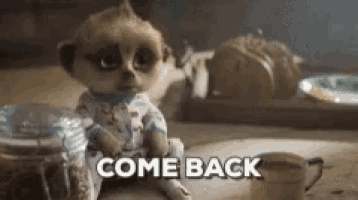 a meerkat is sitting on a table with the words come back written on it
