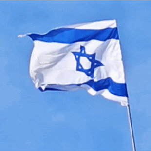 Israel Flag GIF - Israel Flag Wind GIFs