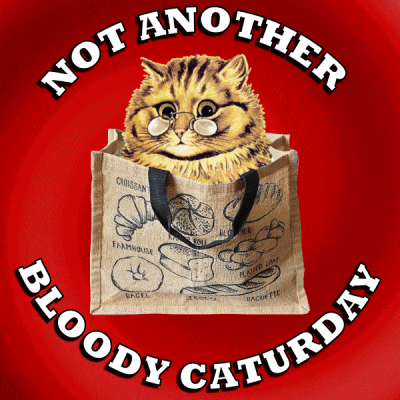 a cat is in a bag that says not another bloody caturday