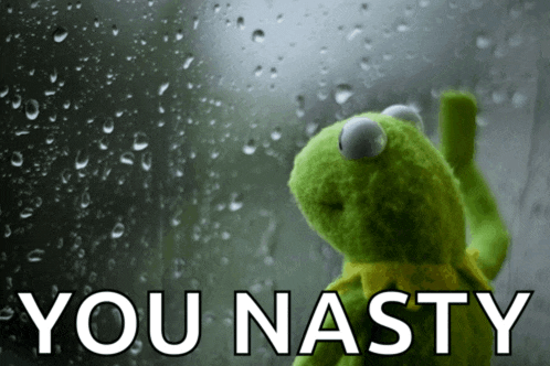 a kermit the frog looking out a window with the words you nasty behind him