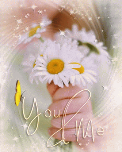 You And Me Love GIF - You And Me Love Butterfly GIFs
