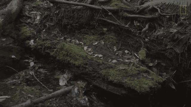 Creek What Happens If Your Town Runs Out Of Water GIF