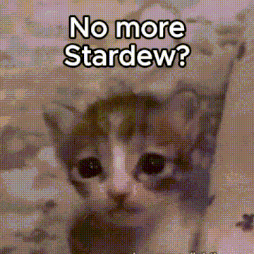 Cat Alre Kitten Sad GIF - Cat Alre Kitten Sad Cat Stardew GIFs