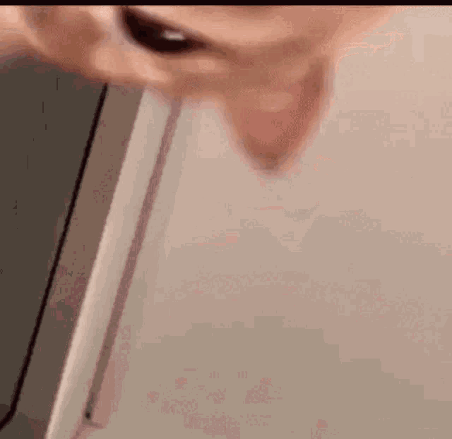 a close up of a cat 's face looking out of a microwave .