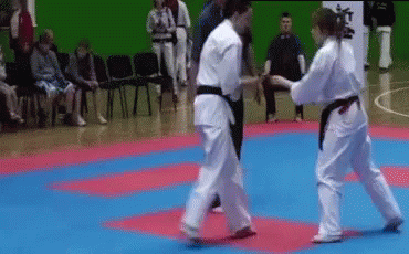 跆拳道 看我的 翻滾 假摔 GIF - Taekwondo Roll Over Fake It GIFs