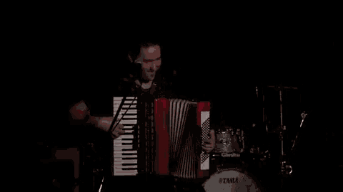 Bagossy Borthers Company Bagossy GIF