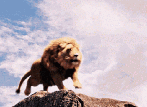 Lion Roaring Gif Lion Roaring Discover Share Gifs