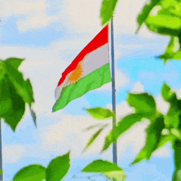 a red white and green flag with a sun in the middle