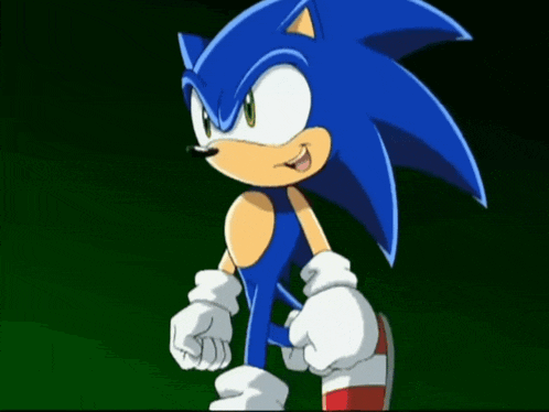 a cartoon character named sonic the hedgehog is standing on a green background