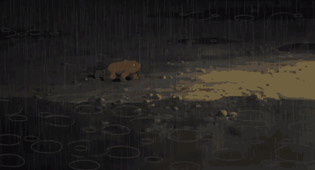 a picture of a frog in the rain with the word " frog " on the bottom left