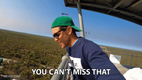 You Cant Miss That How Ridiculous GIF - You Cant Miss That How Ridiculous Cant Miss It GIFs