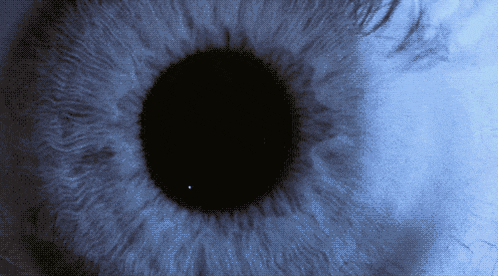 a close up of a blue eye with a black circle in the center