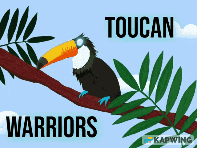 Toucan Warriors Toucan GIF - Toucan Warriors Toucan Warriors GIFs