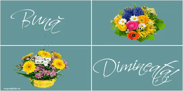 a bunch of flowers with the words bunz and dimineata written on them