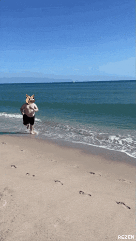 a man standing on a beach with a cat 's face on his head