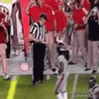 a group of people are standing on top of a football field with a referee .