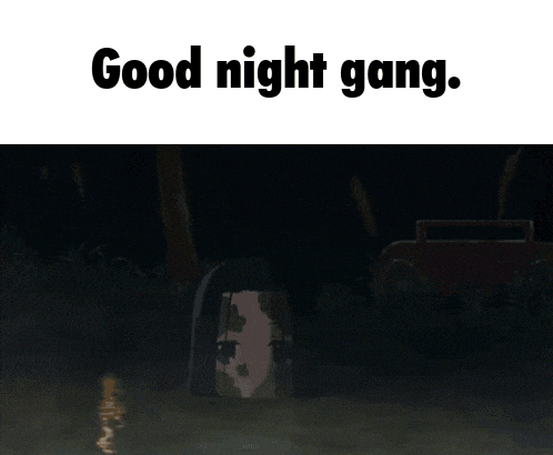 a picture of a person in a cave with the words good night gang