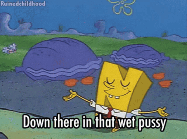 a cartoon of spongebob with the words down there in that wet pussy