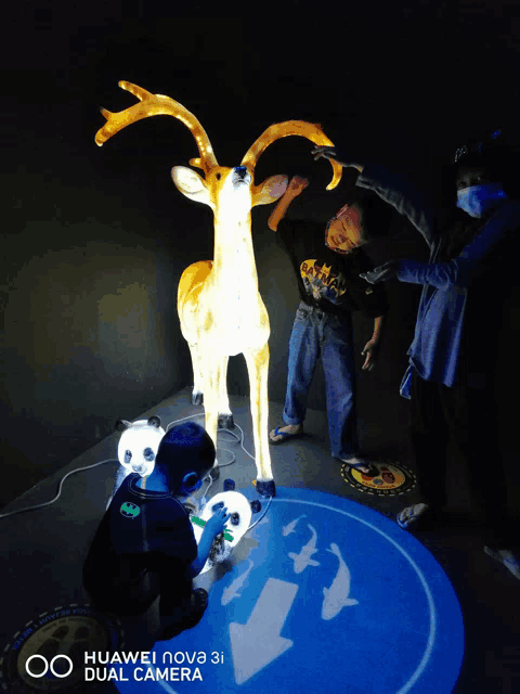 a huawei nova 3i dual camera photo of a deer and panda