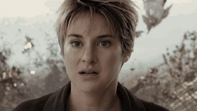 Youre Wrong Shailene Woodley GIF - Youre Wrong Shailene Woodley Beatrice Tris Prior GIFs