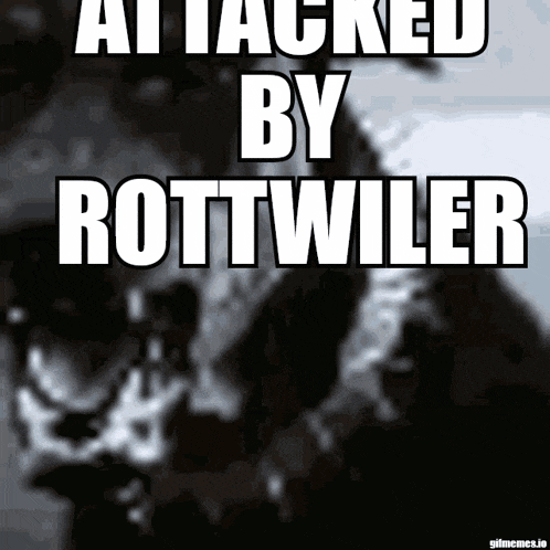 a poster that says attacked by rottweiler with a dog in the background