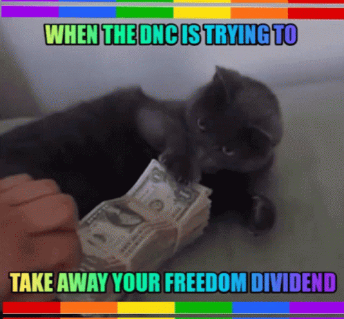 Dnc Freedom Dividend GIF - Dnc Freedom Dividend Cat GIFs