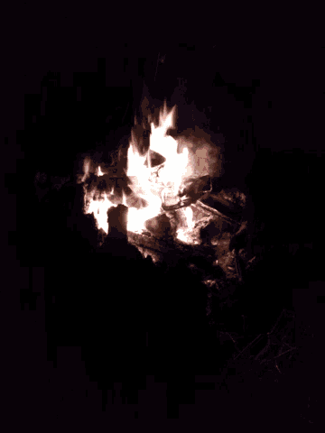 a fire is burning in the dark and looks like a monster