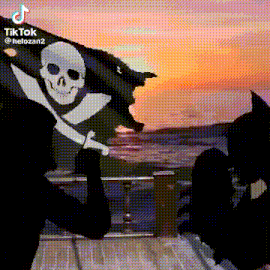 Pirate Irony Hood GIF