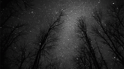 Sky Night GIF - Sky Night Trees GIFs