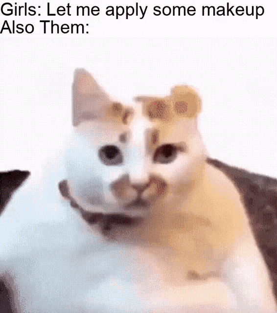 Memes Meme Cat GIF - Memes Meme Cat Girl Meme GIFs