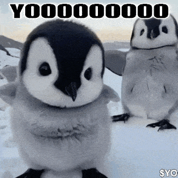 a couple of penguins are standing in the snow with a caption that says y000000