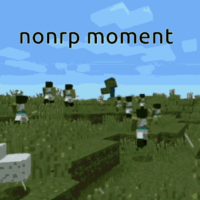 Nonrp Moment GIF - Nonrp Moment GIFs