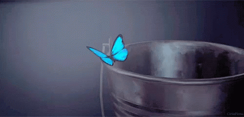 Life Is Strange Butterfly GIF - Life Is Strange Butterfly GIFs
