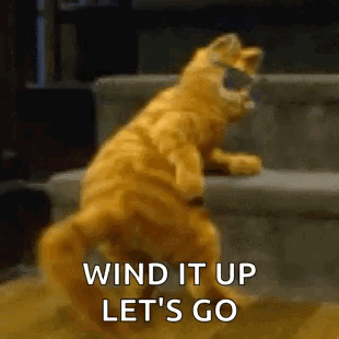Cat Dancing GIF - Cat Dancing Shake It Off GIFs