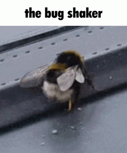 Bug Shaker Thug Shaker GIF - Bug Shaker Thug Shaker Thug Hunter GIFs