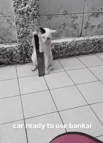 a cat is holding a saw on its hind legs on a tiled floor .