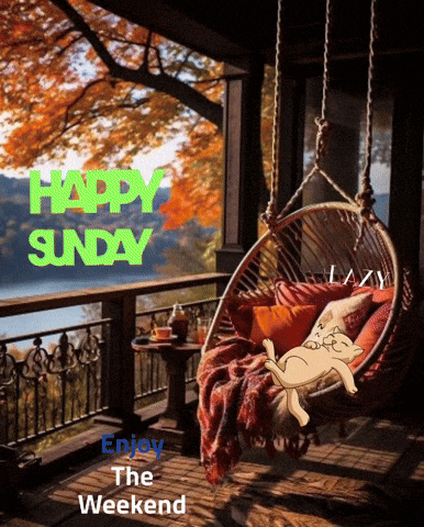 a happy sunday greeting card with a cat laying in a chair