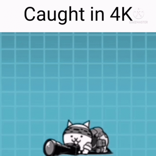 Caught In4k Caught In4k Meme GIF - Caught In4k Caught In4k Meme Battle Cats GIFs