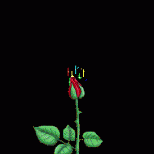 Lover Red Flower GIF - Lover Red Flower Colors GIFs