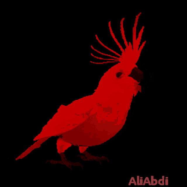 a pixel art of a red bird with the name aliabdi on the bottom