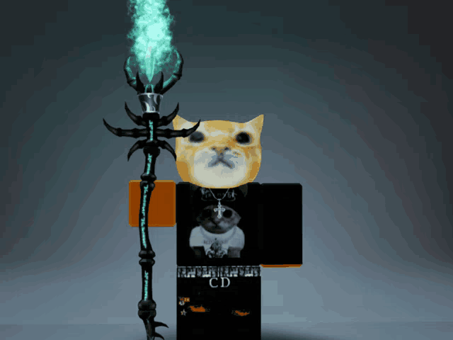 a cat with a black shirt that says cd